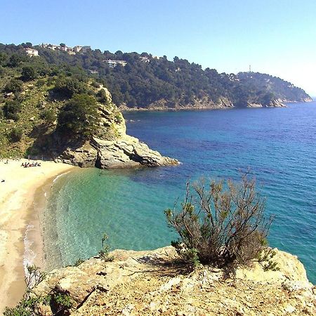 "Ti Sable" Agreable Studio Climatise, Jolie Vue Mer, Piscine A Cavalaire Sur Mer Golfe De St-Tropez エクステリア 写真