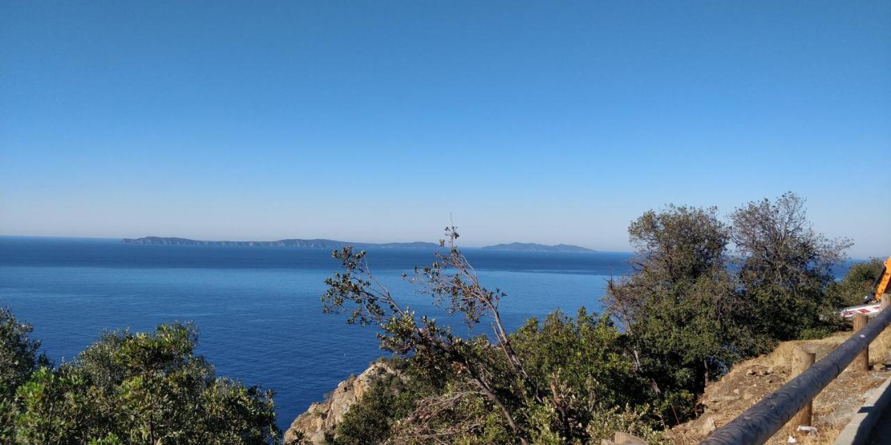"Ti Sable" Agreable Studio Climatise, Jolie Vue Mer, Piscine A Cavalaire Sur Mer Golfe De St-Tropez エクステリア 写真